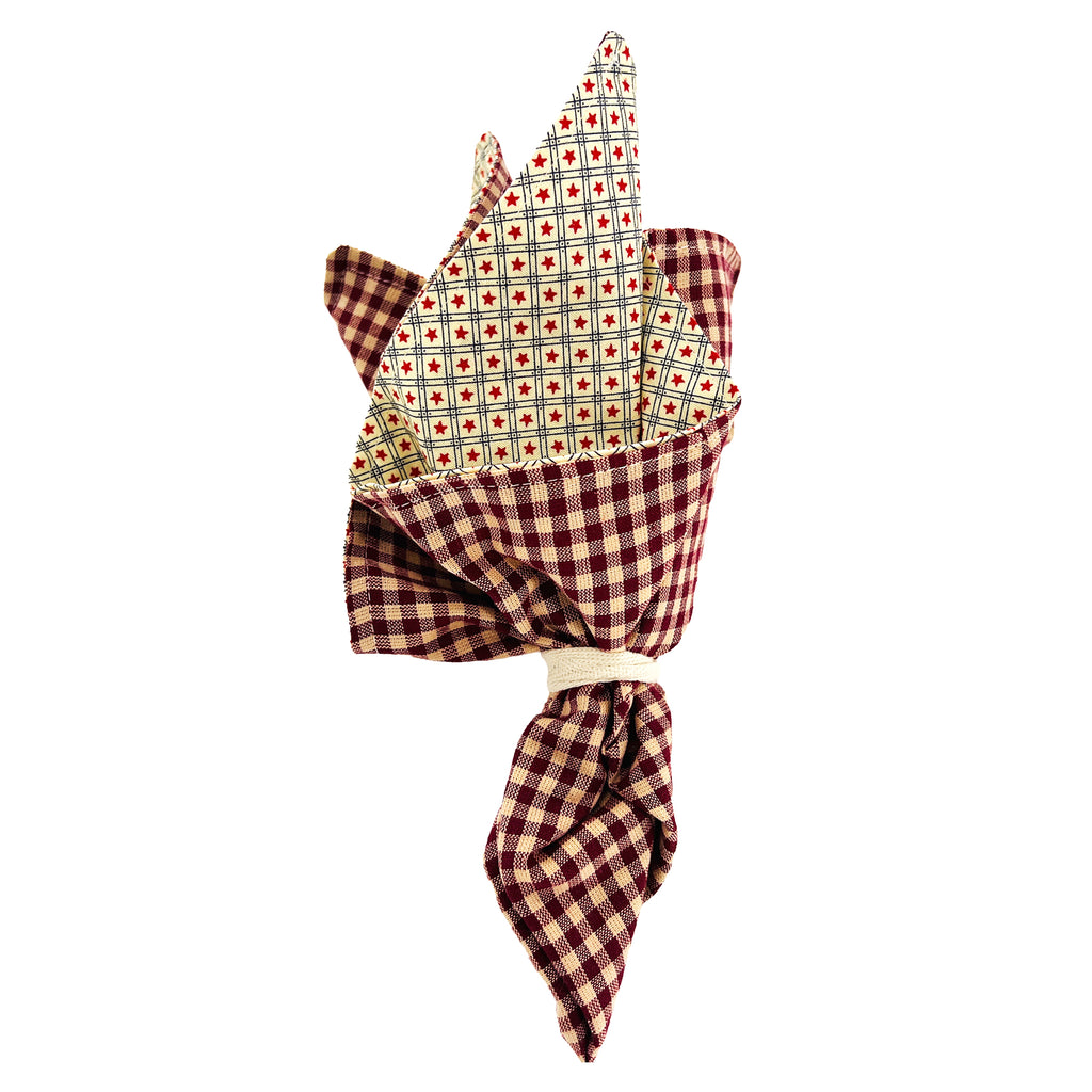 Cloth Napkins and Placemats Set Washable Reversible Checkered