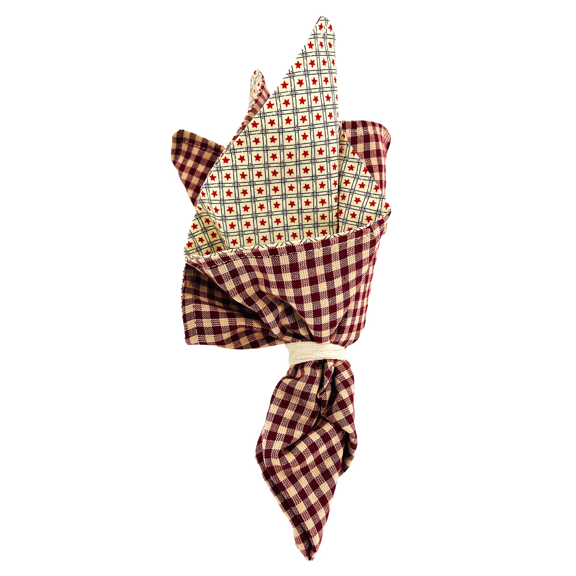 Cloth Napkins and Placemats Set Washable Reversible Checkered