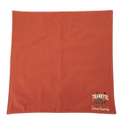 Cloth Napkins Embroidered Set of 4 Machine Washable Multi