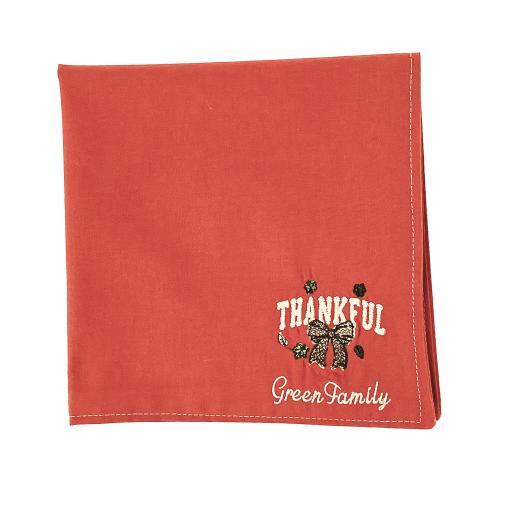 Cloth Napkins Embroidered Set of 4 Machine Washable Multi