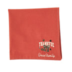 Cloth Napkins Embroidered Set of 4 Machine Washable Multi